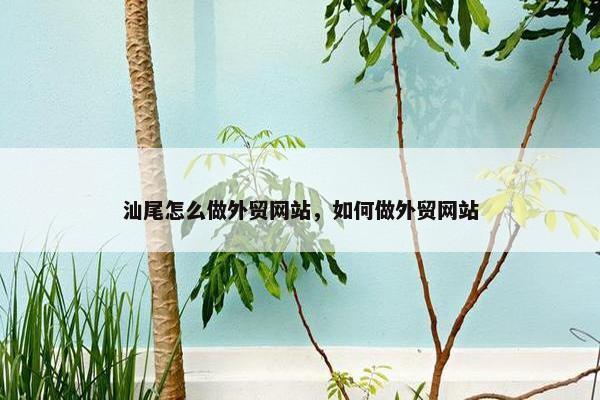 汕尾怎么做外贸网站，如何做外贸网站