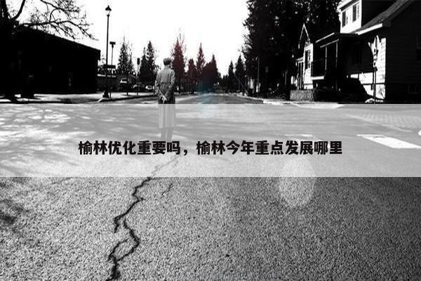 榆林优化重要吗，榆林今年重点发展哪里