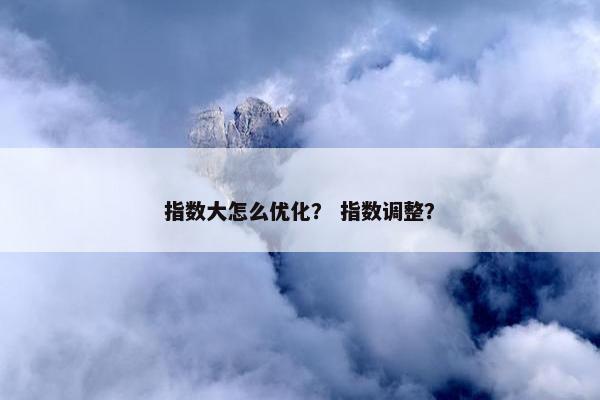 指数大怎么优化？ 指数调整？