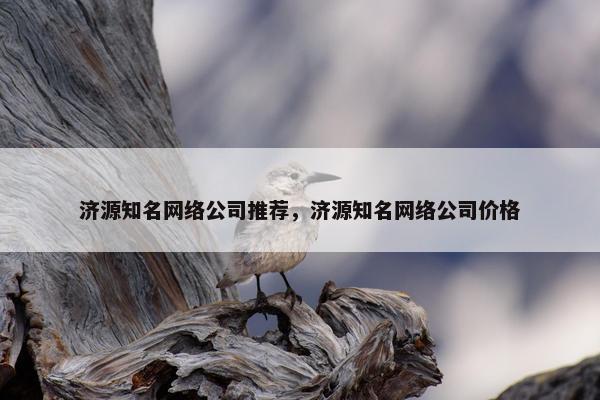 济源知名网络公司推荐，济源知名网络公司价格