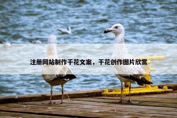注册网站制作干花文案，干花创作图片欣赏
