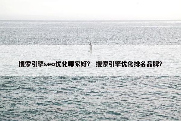 搜索引擎seo优化哪家好？ 搜索引擎优化排名品牌？