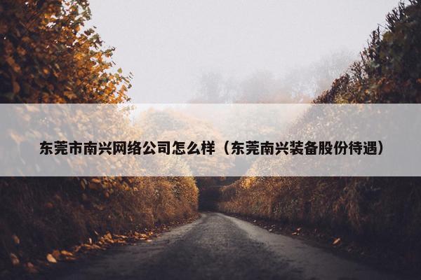 东莞市南兴网络公司怎么样（东莞南兴装备股份待遇）