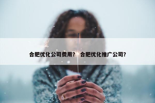 合肥优化公司费用？ 合肥优化推广公司？