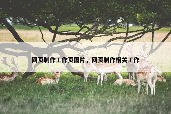 网页制作工作页图片，网页制作相关工作