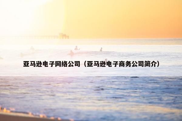 亚马逊电子网络公司（亚马逊电子商务公司简介）