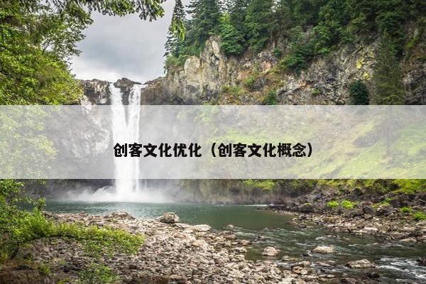 创客文化优化（创客文化概念）