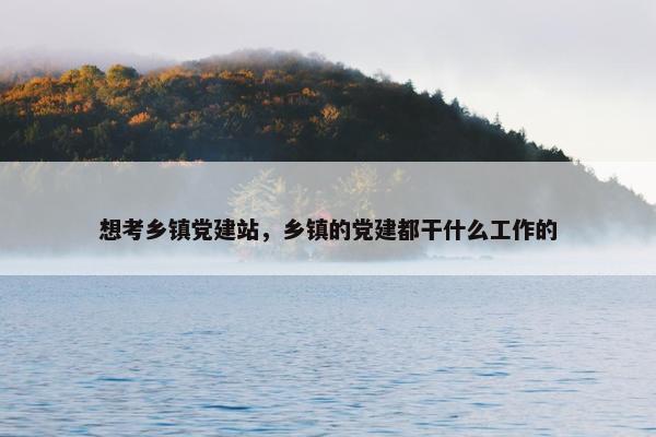 想考乡镇党建站，乡镇的党建都干什么工作的