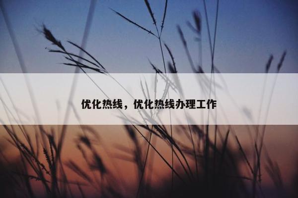 优化热线，优化热线办理工作