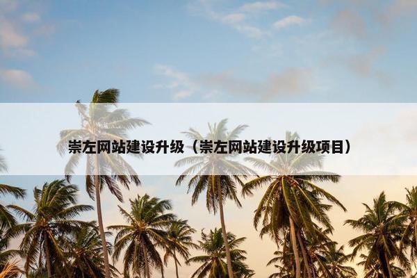 崇左网站建设升级（崇左网站建设升级项目）