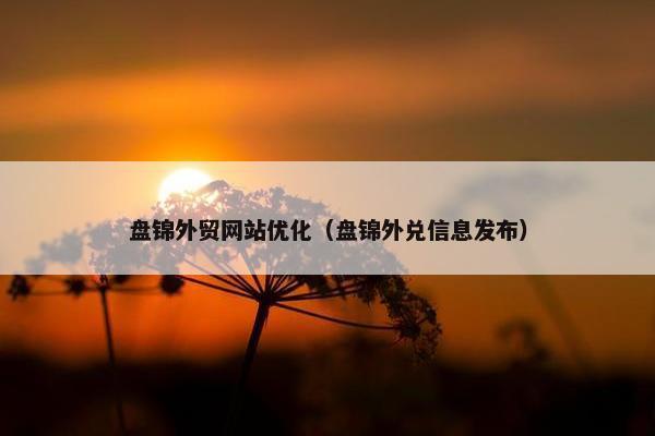 盘锦外贸网站优化（盘锦外兑信息发布）