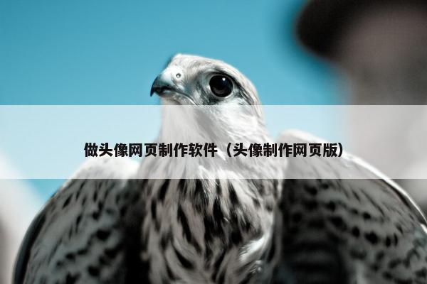 做头像网页制作软件（头像制作网页版）