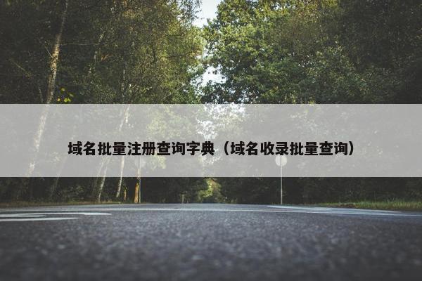 域名批量注册查询字典（域名收录批量查询）