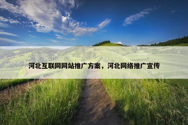 河北互联网网站推广方案，河北网络推广宣传
