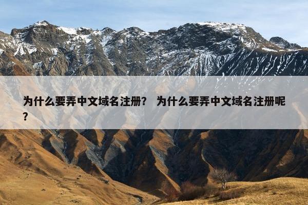 为什么要弄中文域名注册？ 为什么要弄中文域名注册呢？