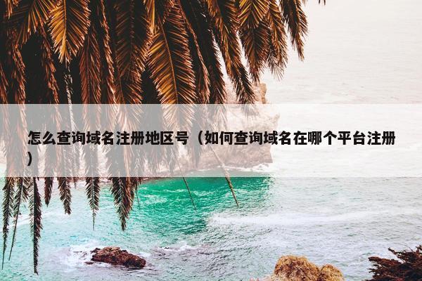 怎么查询域名注册地区号（如何查询域名在哪个平台注册）