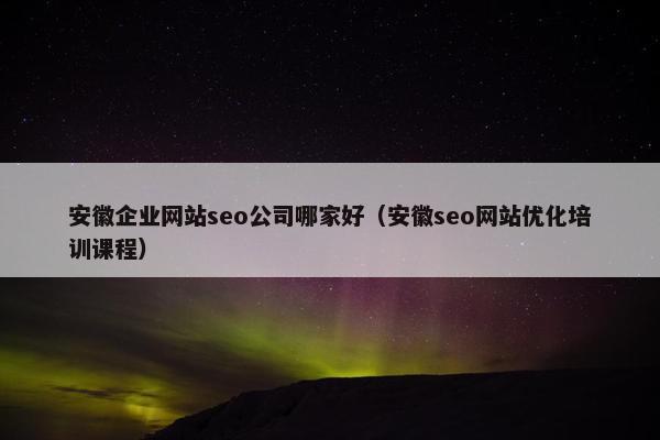 安徽企业网站seo公司哪家好（安徽seo网站优化培训课程）