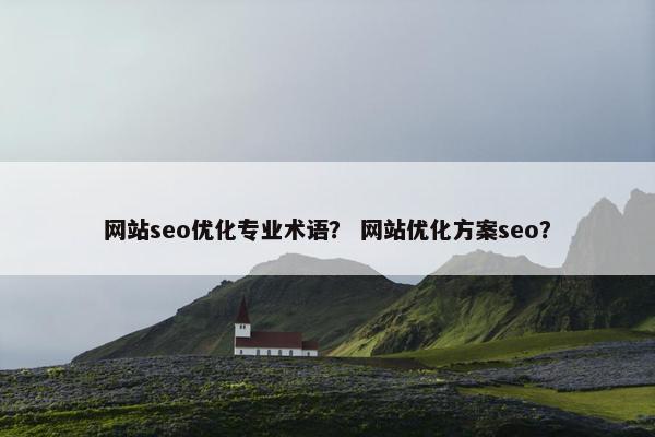 网站seo优化专业术语？ 网站优化方案seo？