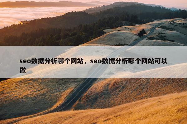seo数据分析哪个网站，seo数据分析哪个网站可以做