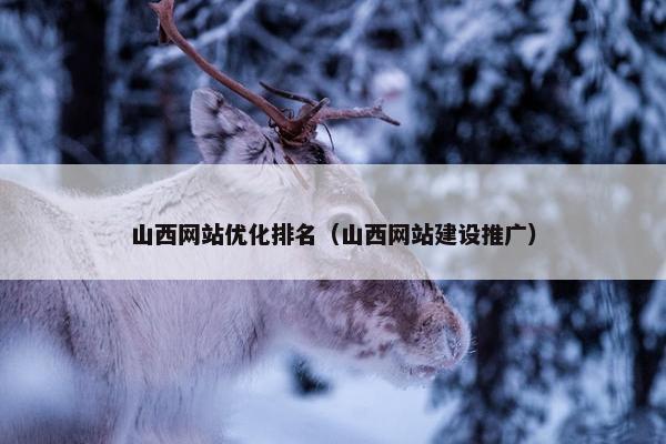 山西网站优化排名（山西网站建设推广）