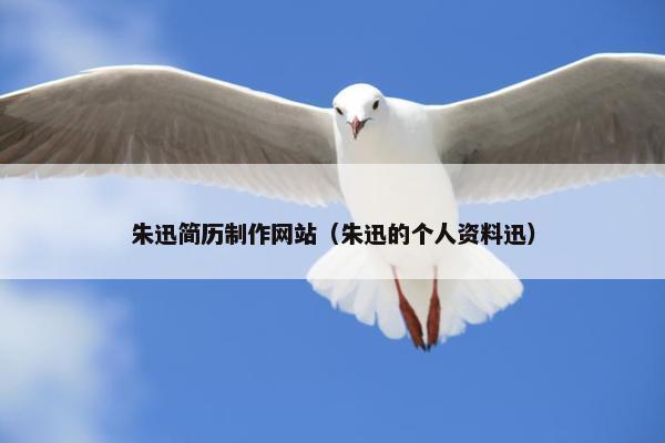朱迅简历制作网站（朱迅的个人资料迅）