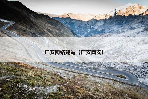 广安网络建站（广安网安）
