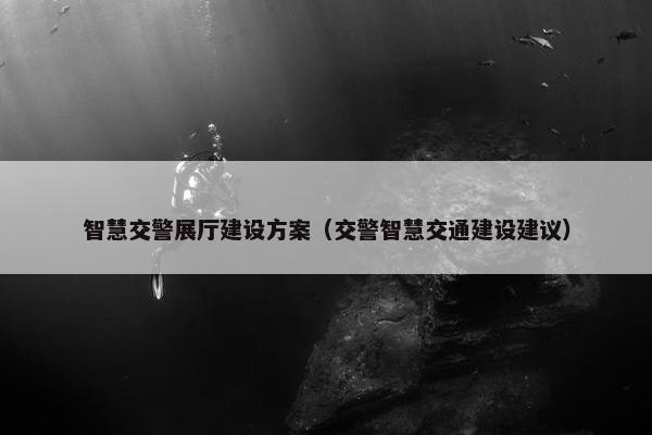 智慧交警展厅建设方案（交警智慧交通建设建议）