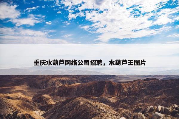 重庆水葫芦网络公司招聘，水葫芦王图片