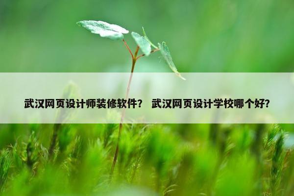 武汉网页设计师装修软件？ 武汉网页设计学校哪个好？
