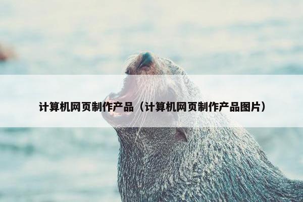 计算机网页制作产品（计算机网页制作产品图片）