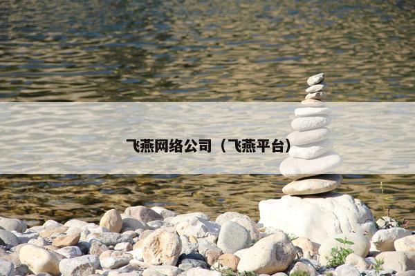 飞燕网络公司（飞燕平台）