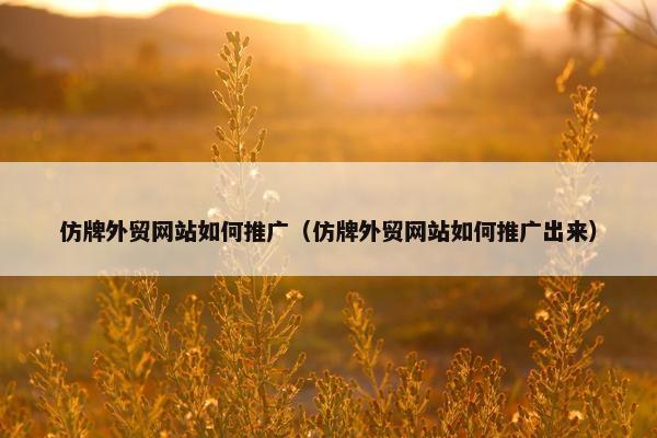 仿牌外贸网站如何推广（仿牌外贸网站如何推广出来）