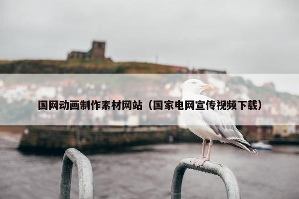 国网动画制作素材网站（国家电网宣传视频下载）