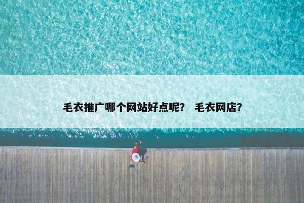 毛衣推广哪个网站好点呢？ 毛衣网店？