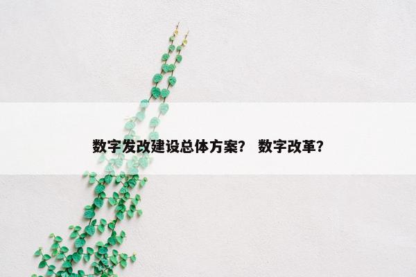 数字发改建设总体方案？ 数字改革？