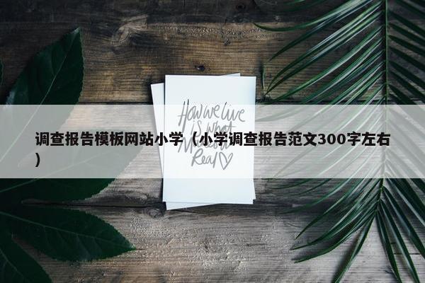调查报告模板网站小学（小学调查报告范文300字左右）
