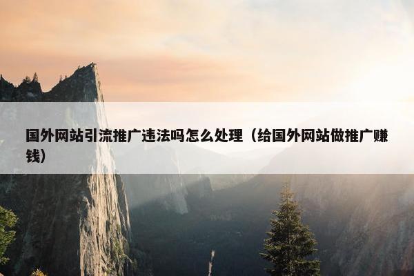 国外网站引流推广违法吗怎么处理（给国外网站做推广赚钱）