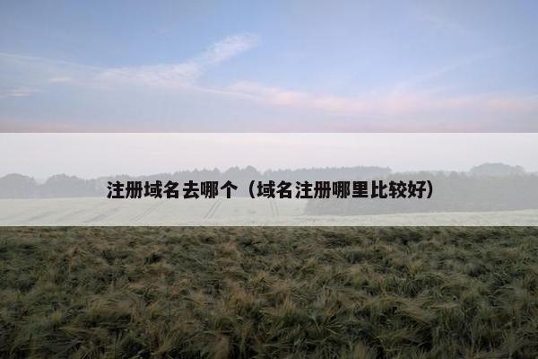 注册域名去哪个（域名注册哪里比较好）