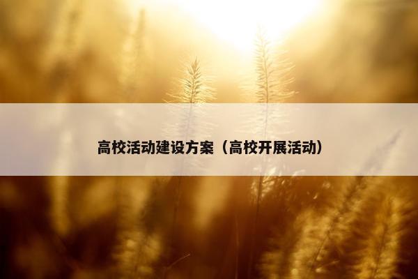 高校活动建设方案（高校开展活动）