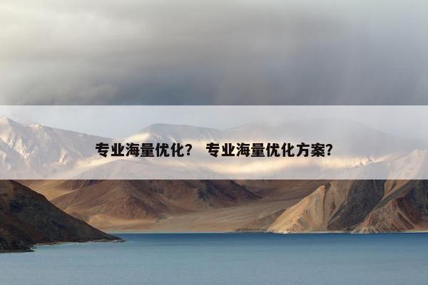 专业海量优化？ 专业海量优化方案？