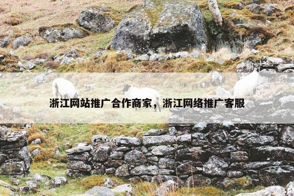 浙江网站推广合作商家，浙江网络推广客服