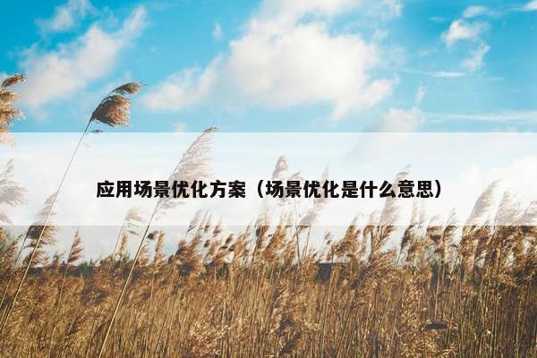 应用场景优化方案（场景优化是什么意思）