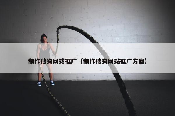 制作搜狗网站推广（制作搜狗网站推广方案）
