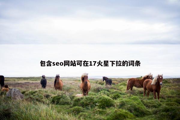 包含seo网站可在17火星下拉的词条