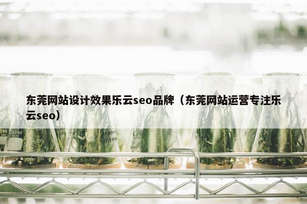 东莞网站设计效果乐云seo品牌（东莞网站运营专注乐云seo）