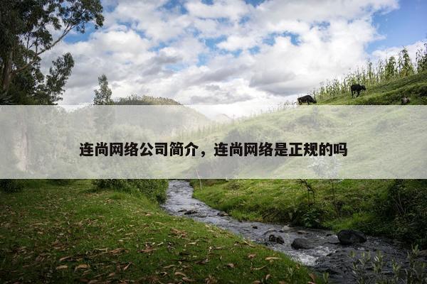 连尚网络公司简介，连尚网络是正规的吗