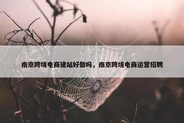 南京跨境电商建站好做吗，南京跨境电商运营招聘