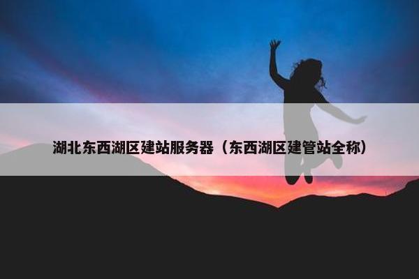 湖北东西湖区建站服务器（东西湖区建管站全称）