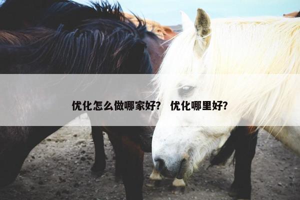 优化怎么做哪家好？ 优化哪里好？