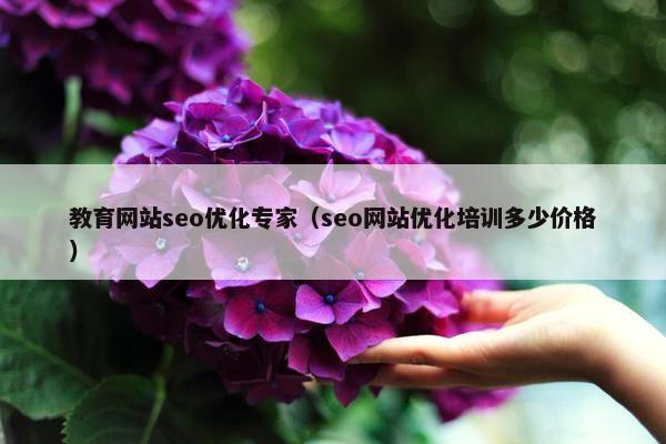 教育网站seo优化专家（seo网站优化培训多少价格）
